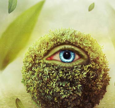 手机号轰炸测试