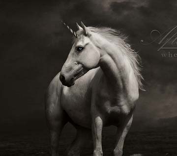 信息轰炸在线使用免费