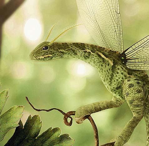 小七电话在线网页轰炸